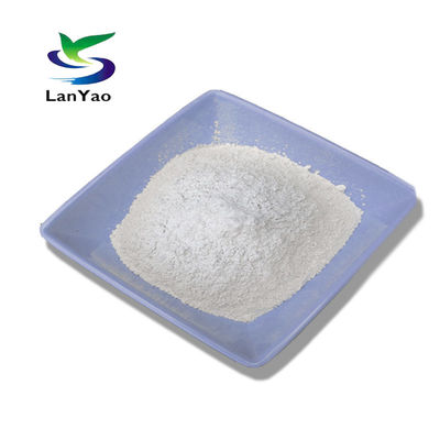 95%Min Ca(OH)2 Slaked Lime Water Treatment Powdered Hydrated Lime
