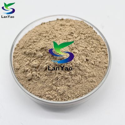 Bio Bacteria Nitrifying Bacteria Effective Wastewater Treatment