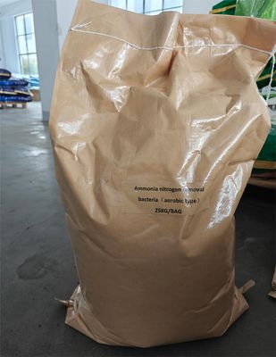 Efficient Ammonia Nitrogen Reduction brown powder Eco-Friendly Bacterial Agent For Wastewater Treatment