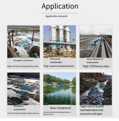 Concentrated Brown Powder Bio Bacteria For Industrial Wastewater Treatment