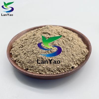 Environmental Protection Microorganism Sewage Treating Bio Bacterial For Eliminating Sludge Brown Powder