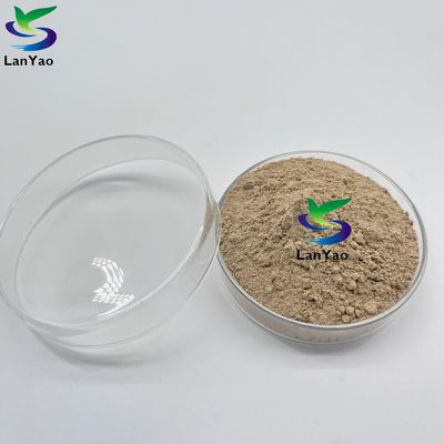 Aerobic Anaerobic Antibiotics Aerobic Anaerobic Bacteria In Wastewater Treatment Bacterial Culture