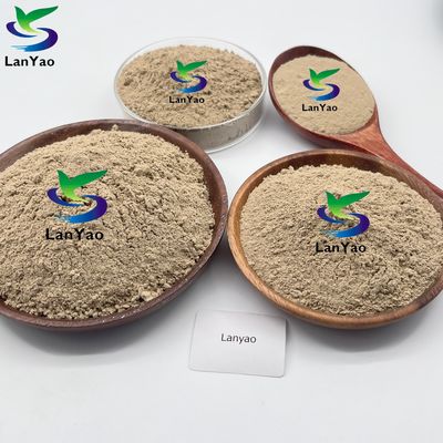 Biological Waste Water Treatment Bacteria / Enzyme / Active Sludge Aerobic Bacteria In Wastewater Treatment