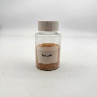 Non Toxic Environmentally Friendly Water Treatment Bio Bacteria High Concentration For Organic Pollutant Reduction