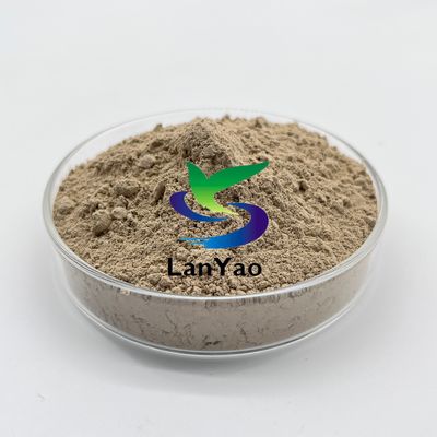 Advanced Nitrifying Bacteria Industrial Domestic Wastewater Treatment