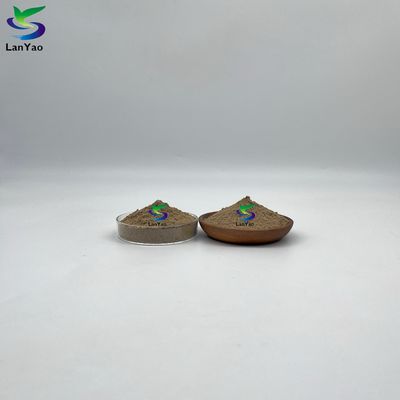 Waste Water Treatment Bacterial In Powder For Industrial Application