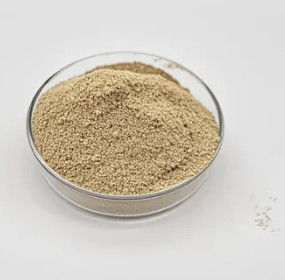Water Treatment Bio Bacteria Powder Long Lasting Trusted Performance