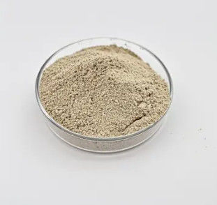 Water Treatment Bio Bacteria Powder Long Lasting Trusted Performance