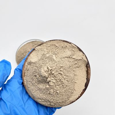 Innovative Proven Performance Powder Form Waste Water Treatment Bacterial For Bio Bacteria