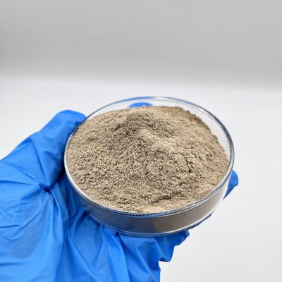 Effective Water Treatment Bio Bacteria Powder Nitrifiers Denitrifiers