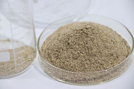 High Concentration Water Treatment Bio Bacteria Form Powder